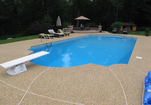 Pool completed by Blue Dolphin Pools & Spas